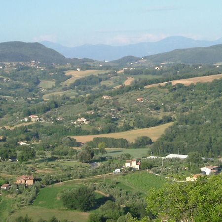 Agriturismo Poggio Della Rosa Amelia Buitenkant foto