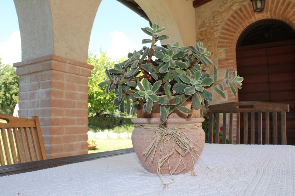 Agriturismo Poggio Della Rosa Amelia Buitenkant foto